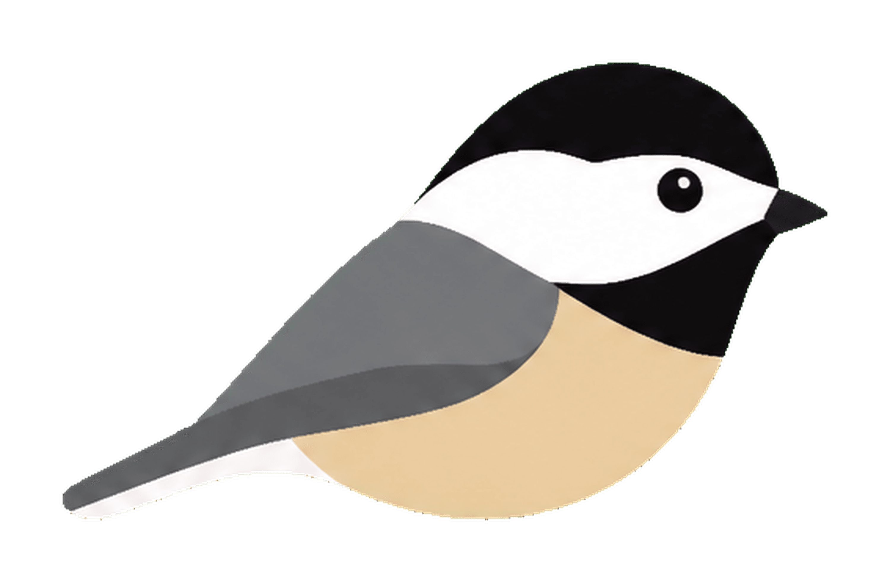 Black-capped Chickadee
